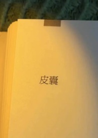 皮囊讲什么